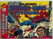 Super Spider-Man and the Titans 224 (FN 6.0)