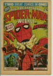 Spectacular Spider-Man and Marvel Comic 334 (FN 6.0)