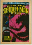 Spectacular Spider-Man 358 (FN/VF 7.0)