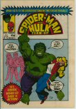 Spider-Man and Hulk Team-Up 447 (VG/FN 5.0)