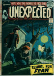 Unexpected 133 (VF 8.0)