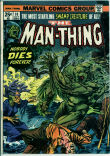Man-Thing 10 (VG 4.0)