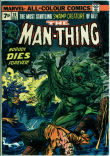 Man-Thing 10 (VG 4.0) pence