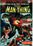 Man-Thing 11 (VG 4.0)